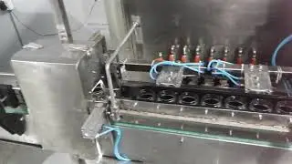 Automated Bottle rinsing machine