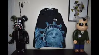 СТАТУЯ СВОБОДЫ НА КУРТКЕ!?!? (TNF x SUPREME MTN. КУРТКА)