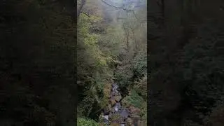 #music #metal  #rock #Philadelphia #nature