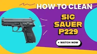How to clean Sig Sauer p229 #gunmaintenance