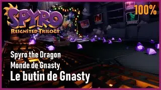 Spyro the Dragon - Monde de Gnasty - Butin de Gnasty