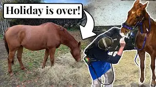 Ember’s Holiday Is OVER After 7 Months Off!~ Part I