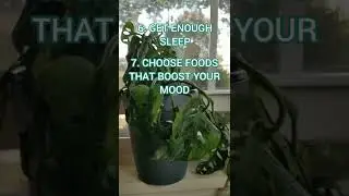 9 Healthy Habits that can Boost Your Mood