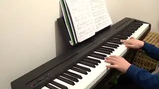 F&uuml;r Elise by Beethoven (Piano Cover by Valentin Karpets)