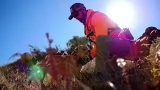 Pheasant Hunting in Aberdeen, South Dakota.