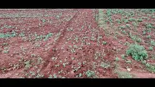APS FLDP FARM VISIT 26 3840 2160 03 11 2023  4