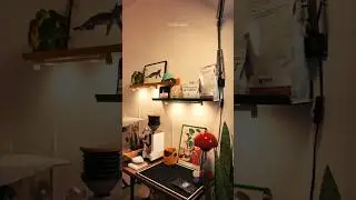 Installing Ikea Mittled lights for my coffee bar