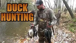 Duck Hunting 2016