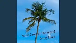 Not A Care In The World
