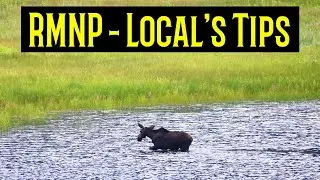 Rocky Mountain National Park | Travel Guide | Travel Tips from a Local