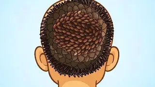 asmr | Soothing bald care and cleaning animation that will relax you