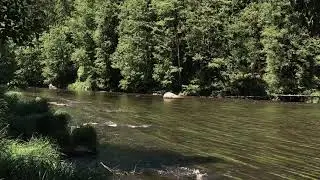 Der Schwarze Regen, wilde Flusslandschaft im Bayerischen Wald 4K
