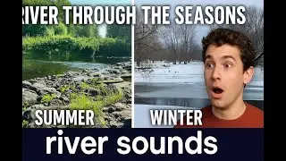Nature Transformed This Backyard! #river