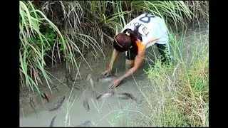 amazing fishing at pailin province - cambodia traditional fishing - khmer net fishing
