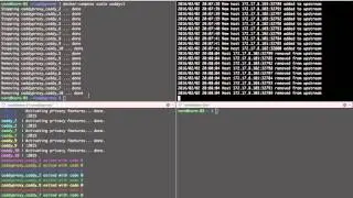 Caddy dynamic proxy
