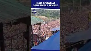 Kerala: Huge crowd gathers at Sabarimala Temple to offer prayers | Watch video | Oneindia #shorts