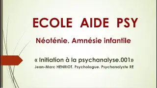 N&eacute;ot&eacute;nie. Amn&eacute;sie Infantile.