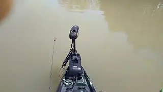 Bonafide Kayak 12.7 fusion color with minkota 55 spot lock.