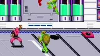 Turtles in Time: RogueFox and BigAndFatBoy Play!