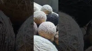 Wool yarn spun from sheep for making blankets, pakols, and jackets.#afghanistan #wool #hanmade