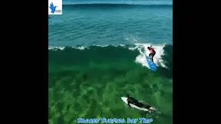 Beginner Surfing Day Trip from Sagres