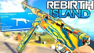 My New MP40 Is Unstoppable on Rebirth Island