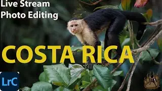Lightroom Photo Editing Live Stream: Costa Rica | Win a Free Print