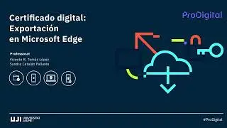Certificado digital: exportaci&oacute;n en Microsoft Edge.