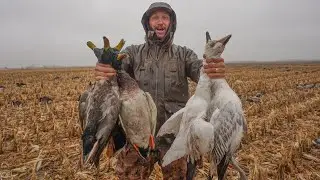 5 Man Limit of Field Mallards.. Bad Weather Means Great Duck Hunting!!
