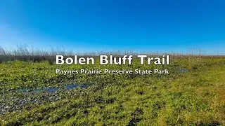 Bolen Bluff Trail - Paynes Prairie Preserve State Park - GoPro Hyperlapse