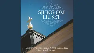 Buren av ljus