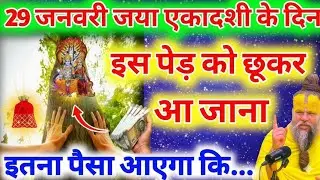 29 जनवरी जया एकादशी के दिन इस पेड़ को छूकर आ जाना मात्र 3 दिन के अंदर गरीबी होगी दूर #jayaekadashi​ 