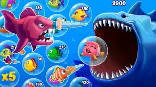 Save The Fish! - Gameplay Walkthrough Part 1 New Update Level 1-15 (Android, iOS)