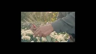 SHEGROWS Cutting Gardens