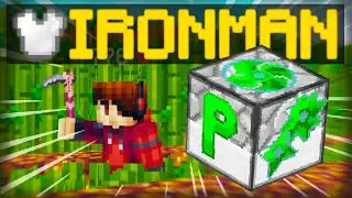 The BEST QOL item ever added... (Hypixel Skyblock Ironman) #27
