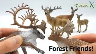 Red Deer (Stag / Hind / Calf), Fallow Deer & Woodland Caribou CollectA 컬렉타 다마사슴, 붉은사슴, 순록 Review