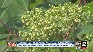 Greater Baltimore Wilderness Coalition launched