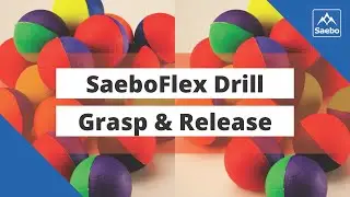 SaeboFlex Drill - High Level Stability Drill - Grasp & Release