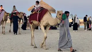 Qatar wakra souq