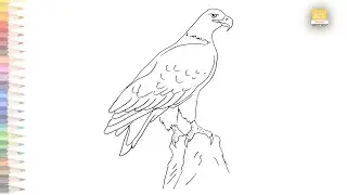 Bald eagle outline sketch easy | How to draw Bald eagle very simply