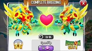 Dragon City: High Sunbringer Dragon vs Sunbringer Dragon Skin [EXCLUSIVE BREEDING] 😱