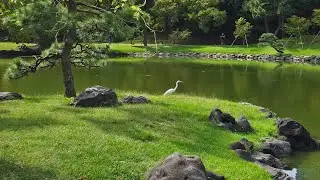 ТОКИО последний день в Японии / Tokyo last day in Japan, Oct.2023