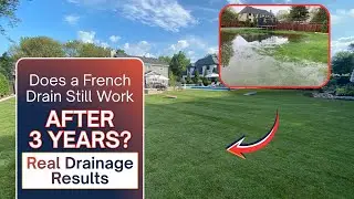 French Drain Still Working | Drainage System After 3 Years