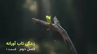 کتاب زندگی تاب آورانه -  فصل دوم:  شرم تاب آوری و قدرت همدلی -  قسمت ۱