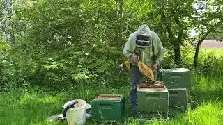 Så er der sværmceller. Og tricks.