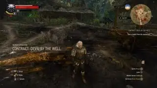 The Witcher 3: Wild Hunt - Noonwraith