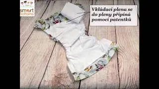 Smart Bottoms Dream Diaper 2 0