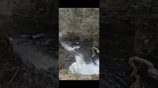 Kirriemuir to Blairgowrie walk