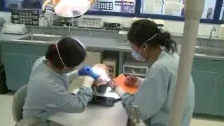 Dental Careers at West Potomac Academy, FCPS