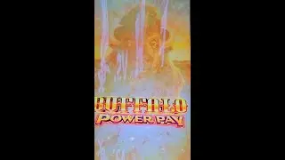 Buffalo Power Pay Slot Machine Gongs and I get the Bonus